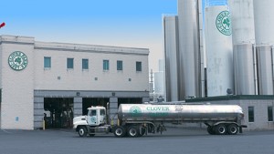 Clover Farms Dairy