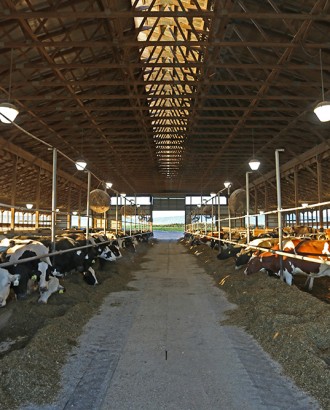 clover farms dairy