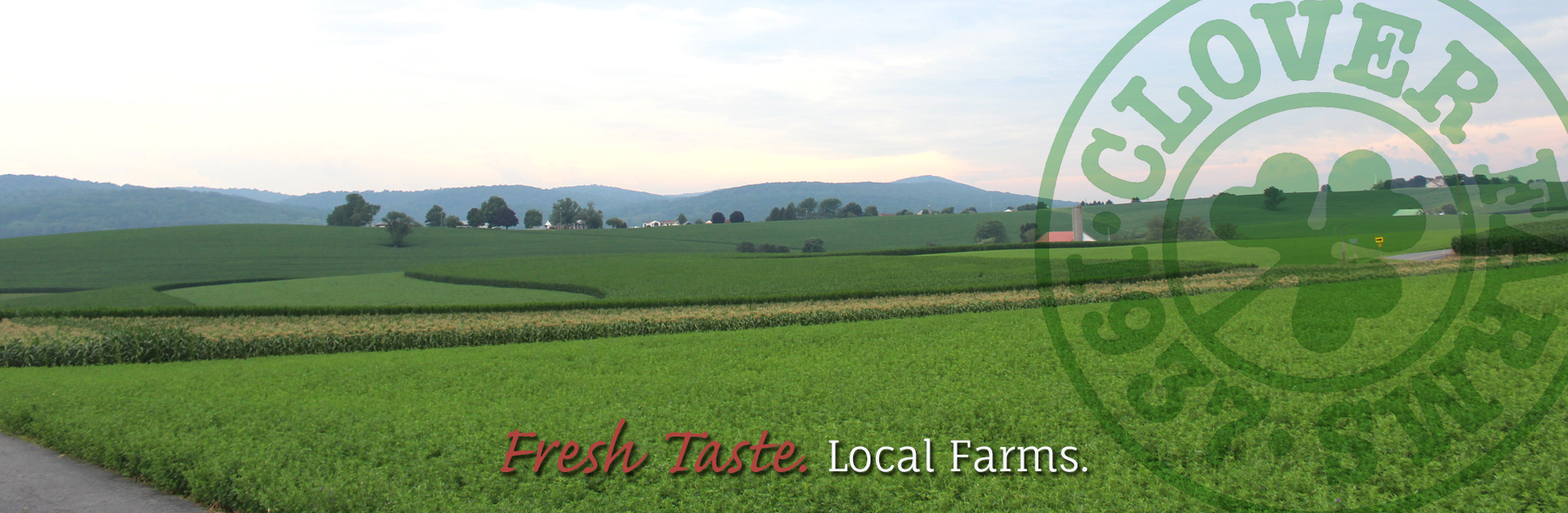 Clover Farms Dairy Fresh Taste From Local Farms